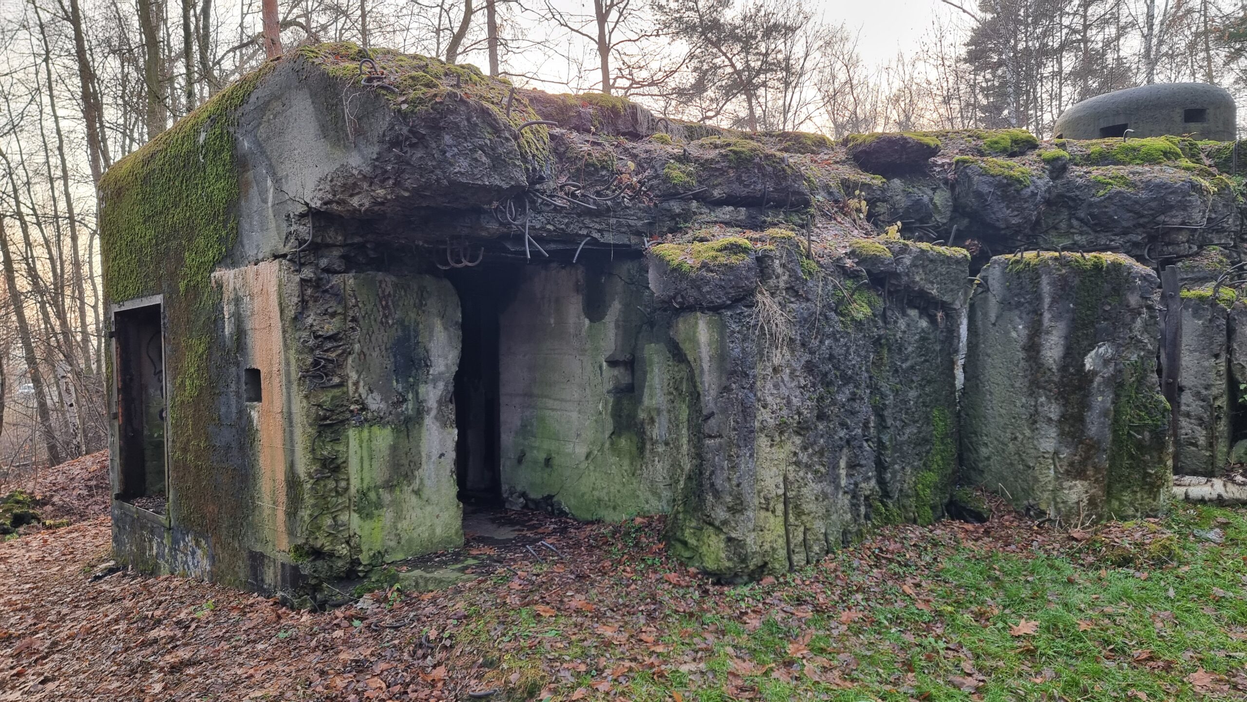 Ruiny schronu nr 53 w lesie w Wymysłowie