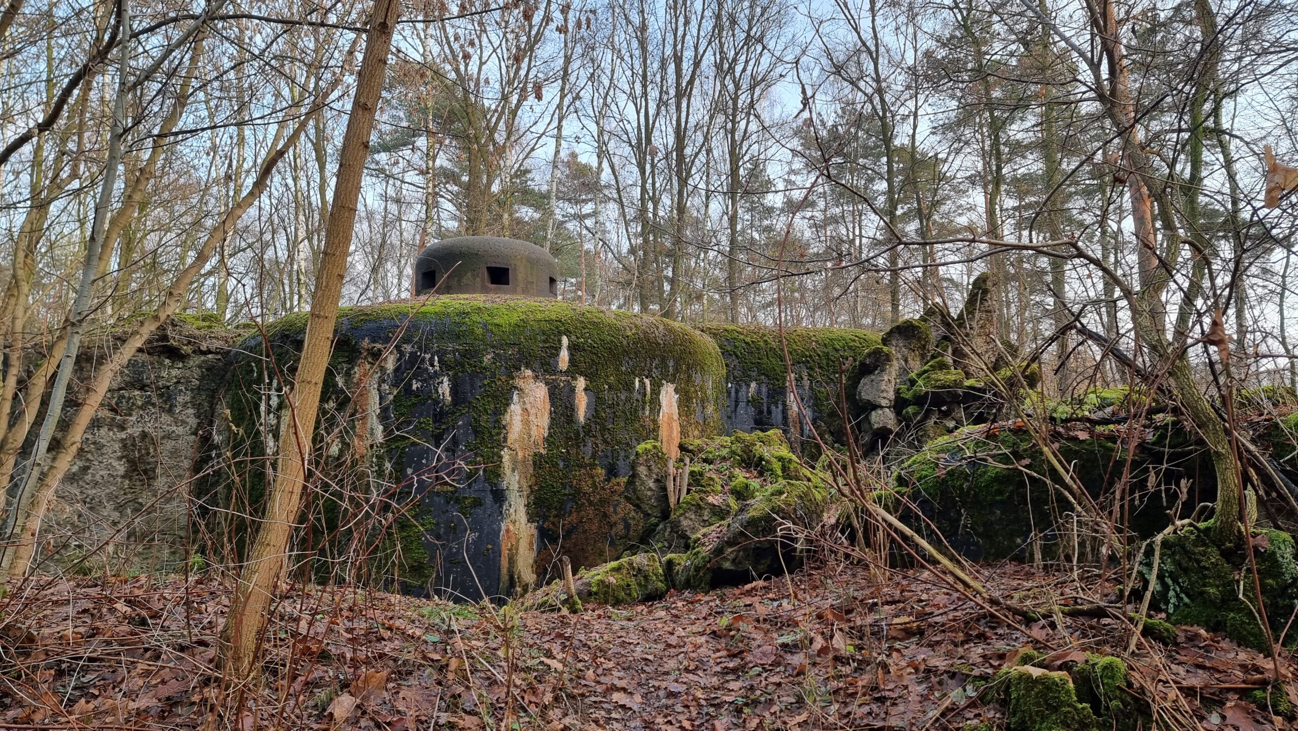 Schron bojowy nr 53 w Wymysłowie porośnięty mchem