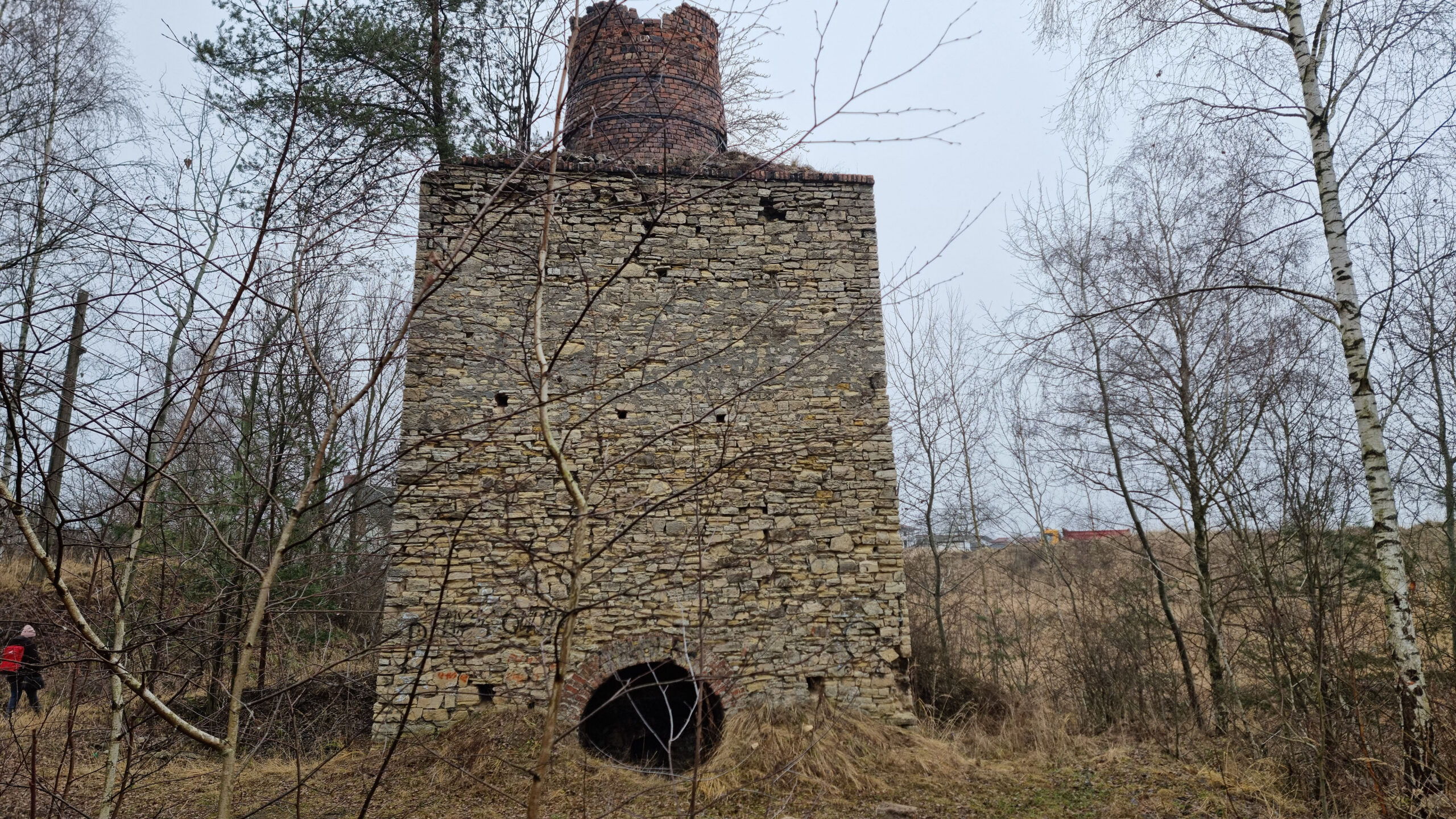 Wapiennik Krasowy w Mysłowicach