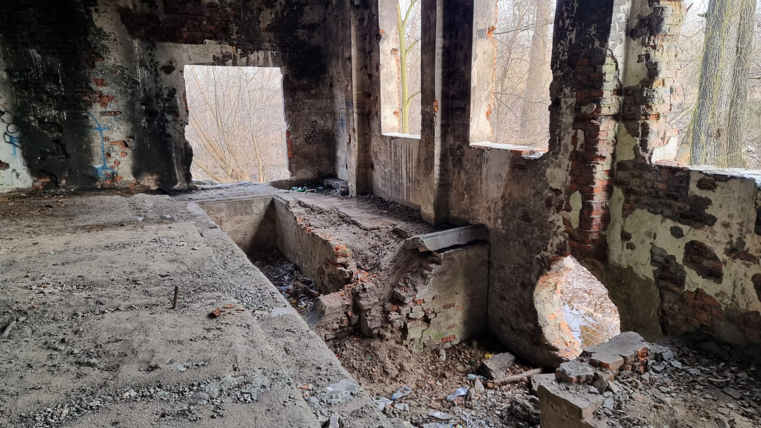 Zarośnięte fundamenty i pozostałości Cementowni Szczakowa ukryte pomiędzy drzewami w Jaworznie