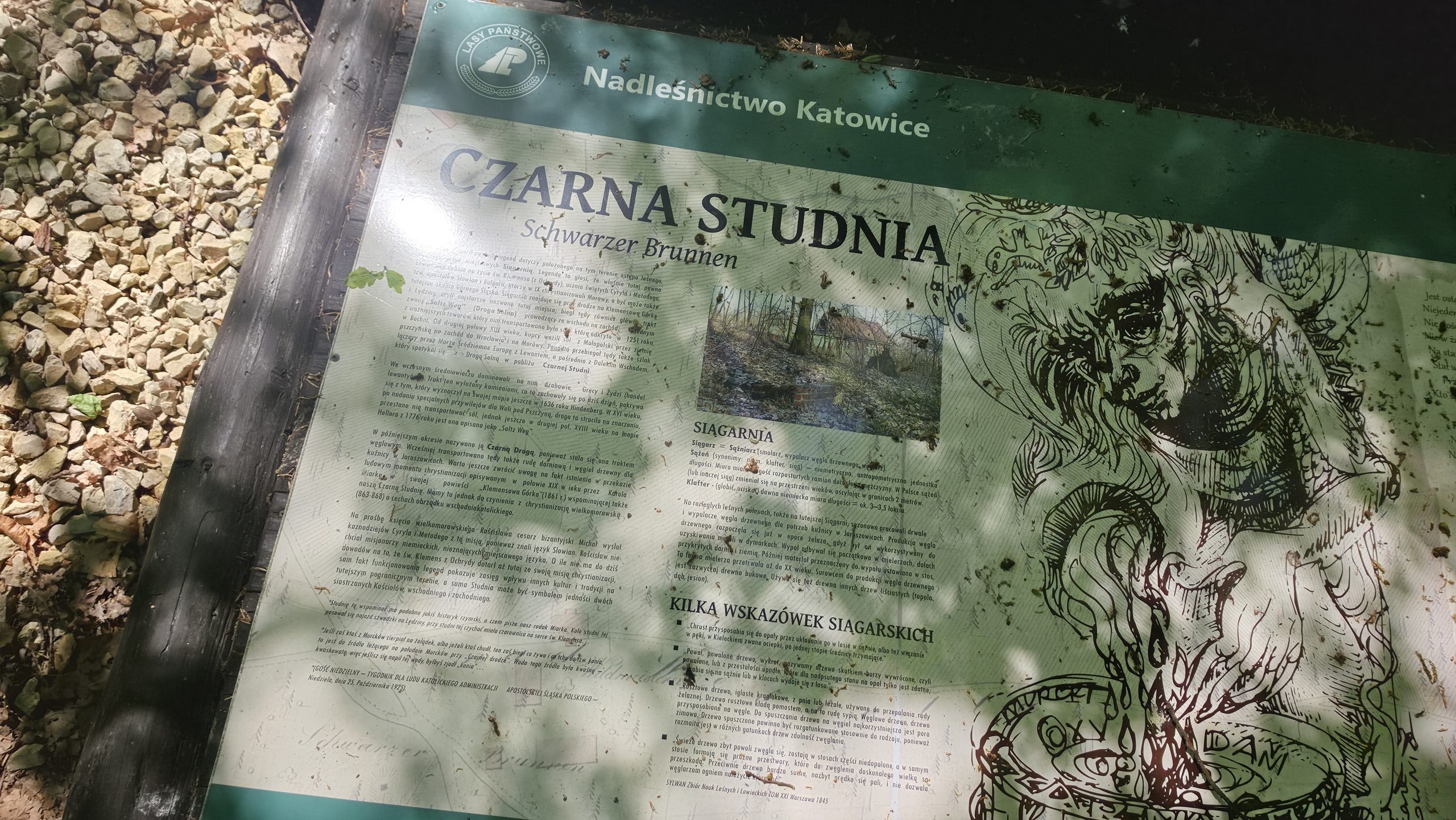 Tablica informacyjna przy Czarnej Studni w Katowicach, opisująca historię miejsca i legendę związaną z Lasami Murckowskimi.