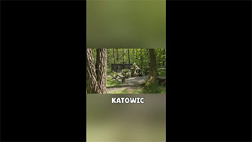 Ukryte miejsce pamięci Katowice – historia pośród drzew
