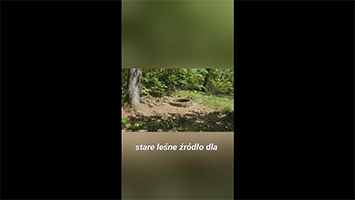 Opuszczona studnia tajemnic – odkryj skryte historie przeszłości