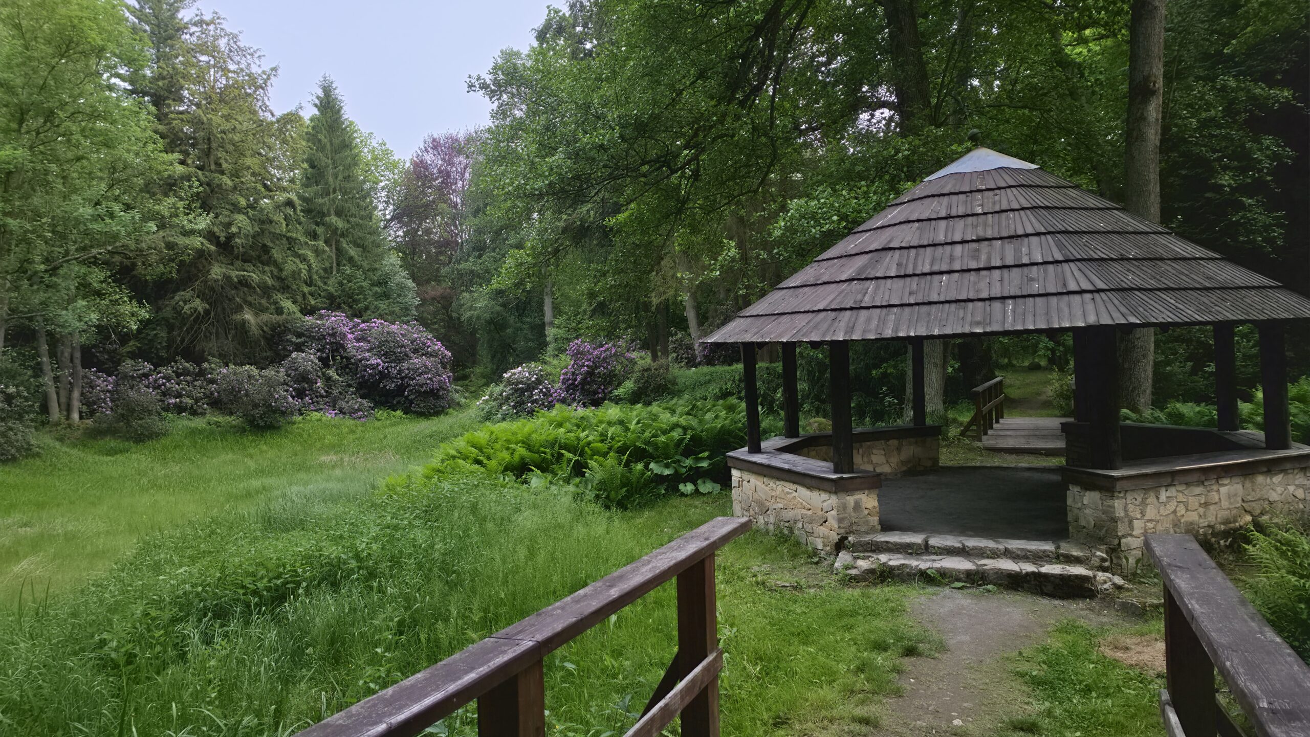 Ogród Botaniczny w Brynku z alejkami i bujną roślinnością