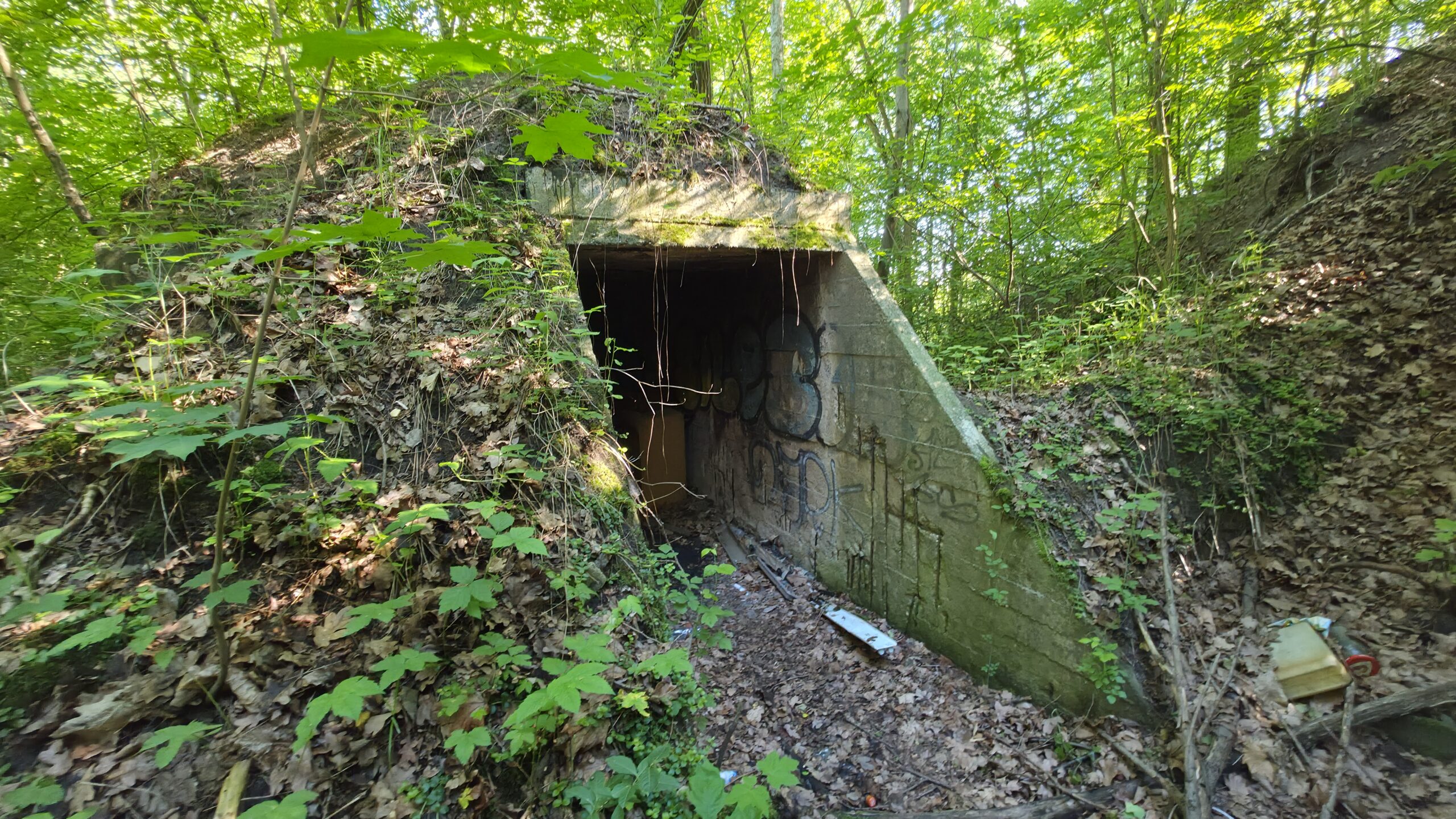 Wejście do betonowego bunkra ukrytego w lesie przy Zalewie Dziećkowice