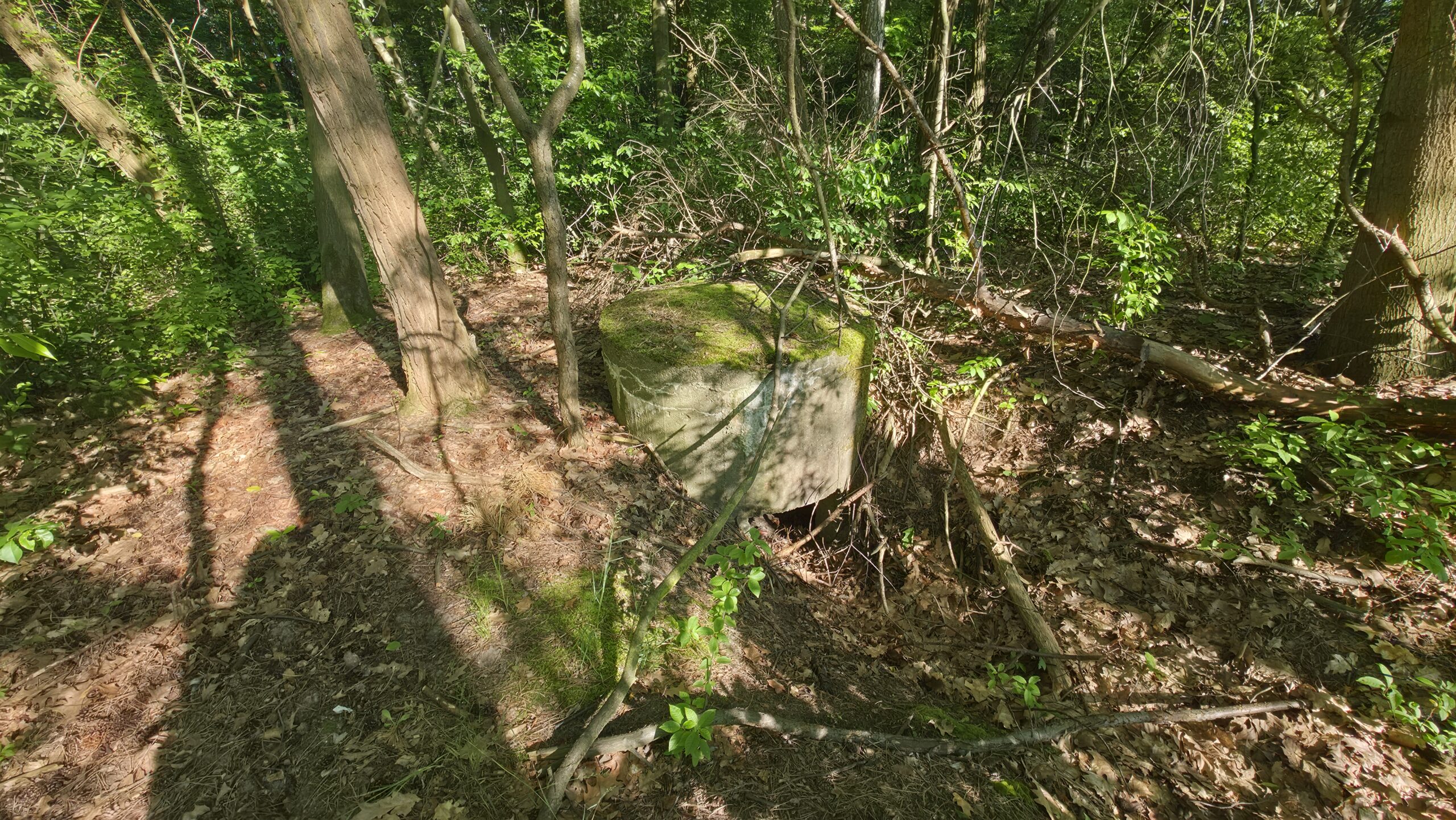 Betonowy schron częściowo zagłębiony w ziemi w lesie koło Dziećkowic