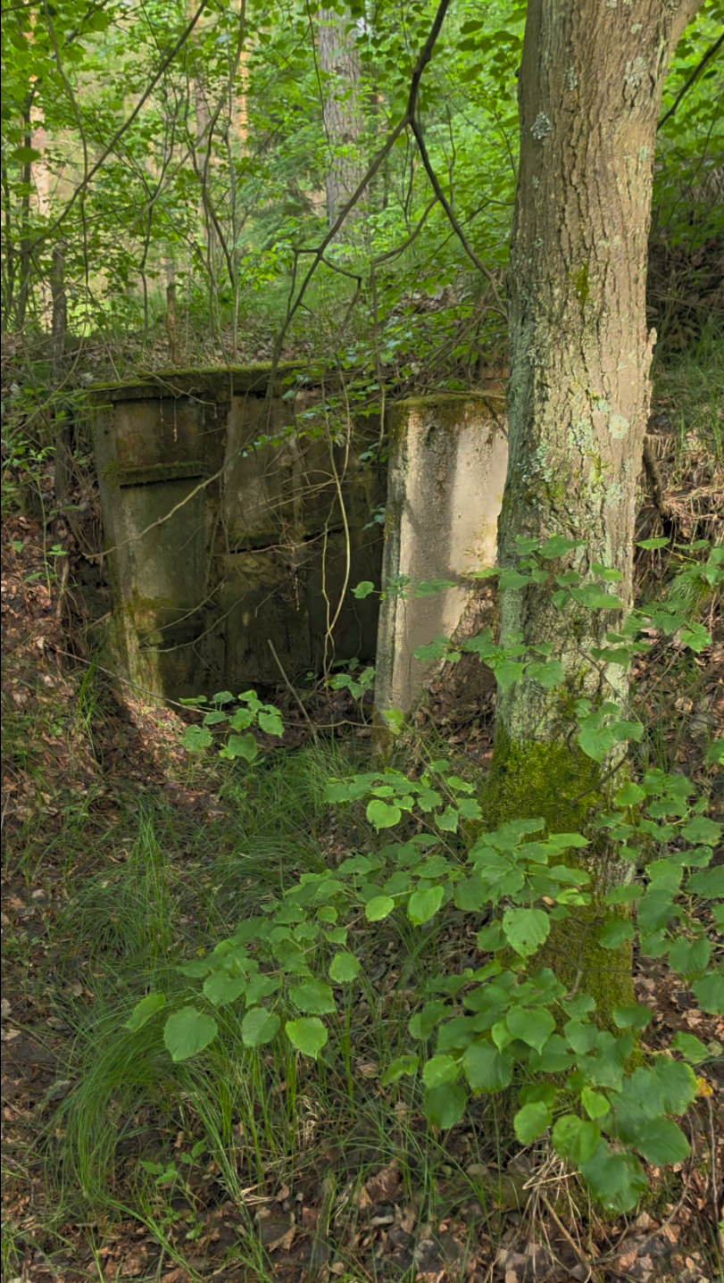 Zarośnięty schron dawnej bazy rakietowej w Woźnikach z okresu zimnej wojny