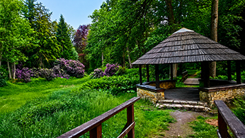 Ogród botaniczny Brynek – zielona perła Śląska